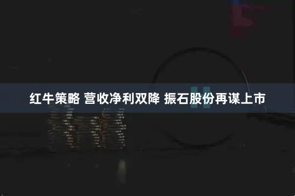 红牛策略 营收净利双降 振石股份再谋上市